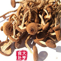 福建特产古田蘑菇特级茶树菇茶 干货批发冰菇 不开伞 500g包邮