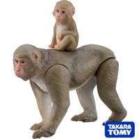 日本Tomy Takara正版散货【动物园 可动动物模型 猕猴 母子猴子】
