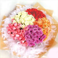 100朵各色玫瑰花束杭州鲜花店情人节鲜花速递同城生日送花全国送
