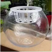 透明玻璃圆球水培植物花盆 水培玻璃花盆花瓶