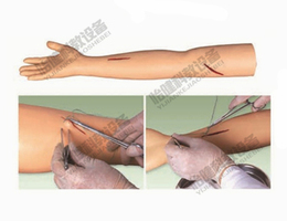 新款 高级外科缝合手臂模型 外科伤口缝合练习 人体上肢 仿真手臂