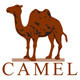 camel骆驼官服饰店