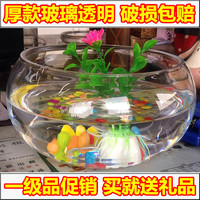 水培玻璃透明鼓缸 花盆 鱼缸玻璃 水仙花盆 圆形茶几创意鱼缸