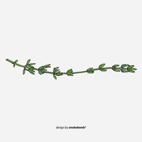 【68元全国包邮】smokebomb 创意防水 绿色藤蔓植物 藤条纹身贴纸