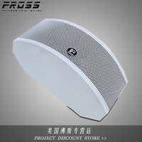 Fross/沸斯 HD-606 专业舞台中置音箱 同轴单元 5.1家庭影院音箱