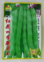 四季架豆王芸豆高产菜豆蔬菜种子早熟春夏秋季种植阳台庭院易种