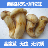 冰冻鲜松茸现货1斤 西藏林芝野生松茸5-7cm