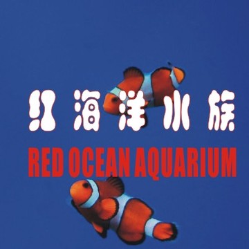 红海洋水族