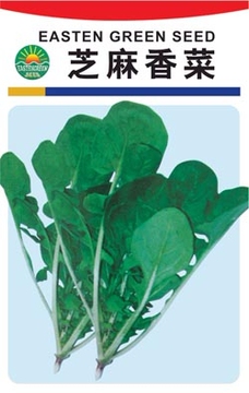 【国产芝麻香菜种子】寿光蔬菜种子 优质蔬菜种子 叶菜种子 10g