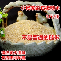 2017年发芽营养糙米 响水产区石板大米 胚芽米 5斤包邮