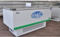 凯雪KX-518WDZ速冻食品专用冷冻柜 海鲜冷冻柜 凯雪冷柜