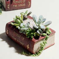 多肉植物花盆 创意 复古文学书 手提箱 个性花器包邮 礼物