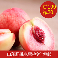 伯乐庄园精选新鲜国产水果 山东肥桃水蜜桃9个装礼盒 肥城桃包邮