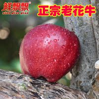 鲜飘飘 礼县新鲜老花牛苹果 酥脆可口 好吃的甜苹果 水果5斤