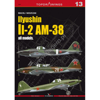 [定购]Il-2 AM-38 模型参考书 Topdrawings 英文