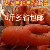 2015年新鲜蔬菜 农家自种胡萝卜 红萝卜宝宝喜欢