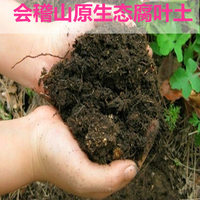 腐叶土山泥土种植土 有机营养腐殖土 花卉多肉植物苔藓微景观必备