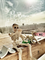 私人订制Mr. Bones 骨头先生 骷髅模型 关节可动 食玩场景~★