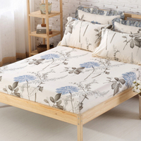 纯棉床笠单件床罩床套席梦思床垫保护套子1.8m2米2.2床束床签防尘