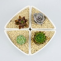 韩国多肉植物花盆 三角形组合白瓷花盆 多肉植物小花盆 zakka包邮