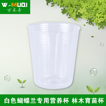 厂家直销优质白色蝴蝶兰专用营养杯林木育苗杯植物花草杯 营养钵