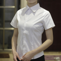 夏季新款职业装女士短袖白衬衣办公室面试装正装短袖隐条纹白衬衫