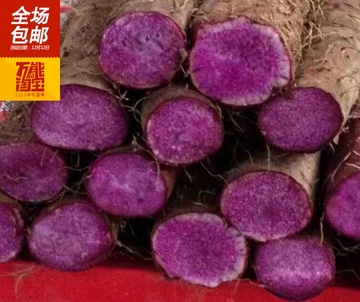 紫玉淮山种子种苗25个焦作温县产地买一送一加包邮再送山药种植网