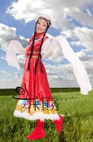 少数民族水袖长袖藏族舞蹈服装女装演出服饰民族舞台表演服装