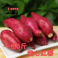 农家自种植新鲜红薯 5斤装地瓜新鲜番薯山芋新鲜蔬菜黄心地瓜