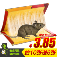 买10送6老鼠贴超强力粘鼠板家用驱鼠灭鼠神器捕鼠器老鼠夹老鼠粘