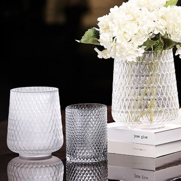 雅图家居透明高品质现代简约喷磨砂透明玻璃花瓶 水培花盆工艺品