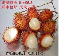 进口新鲜水果 泰国红毛丹 毛荔枝 5斤顺丰包邮 天天发货