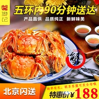 【蟹游记】北京闪送大闸蟹现货鲜活全母螃蟹特价10只装顺丰包邮