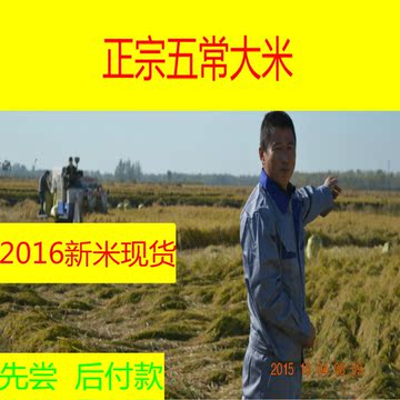 2016年新米正宗东北黑龙江五常大米稻花香米有机贡米5kg包邮农家