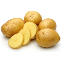 三峡高山蔬菜 新鲜富硒土豆10斤 农家特产马铃薯黄洋芋 现挖现发