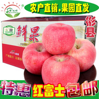 现摘现发 陕西红富士苹果10斤装新鲜水果特价包邮产地直销