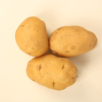 2016新鲜蔬菜农家土豆马铃薯纯天然有机大土豆 5斤包邮