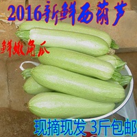 农家新鲜蔬菜茭瓜西葫芦纯天然非转基因绿色蔬菜角瓜3斤包邮