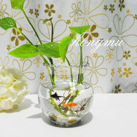 玻璃花瓶水培花盆绿萝透明花瓶养鱼创意恐龙蛋植物富贵竹鱼缸器皿