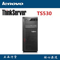 联想服务器ThinkServer TS530 S1220v2 2/500HO R5KEY