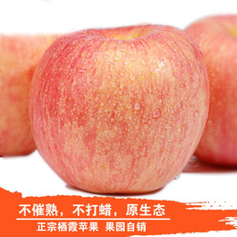 新鲜水果烟台苹果栖霞红富士山东特产5斤冰糖心非陕西洛川 吃的