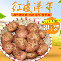 云南农家自产红皮鲜鲜大号土豆8斤  黄心洋芋粉面马铃薯特价包邮